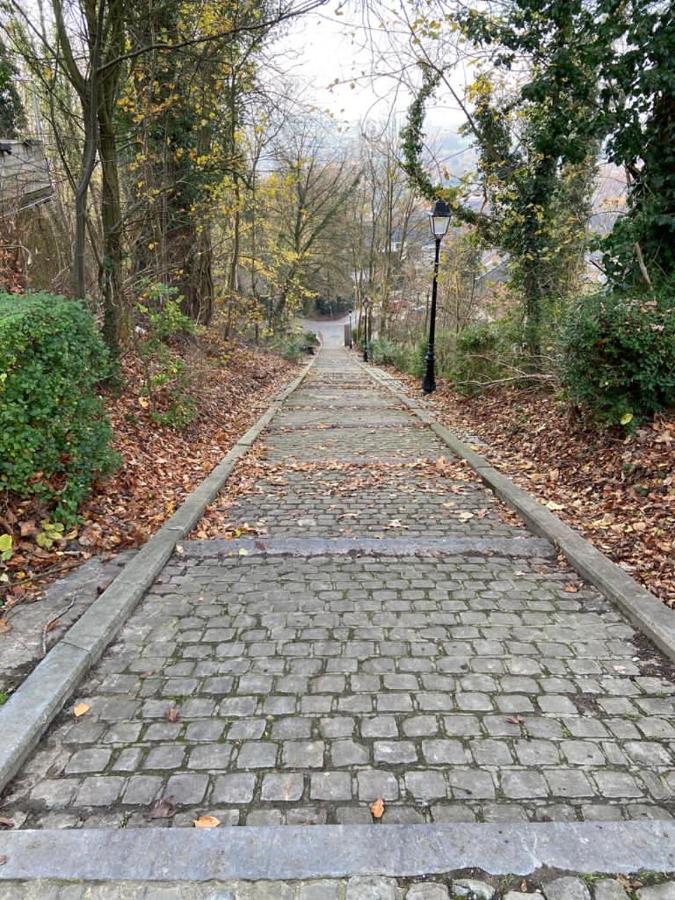 Vakantiewoning De Kassei Geraardsbergen Max 12Personen Exterior foto